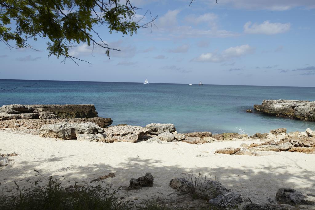 Villa Bougainvillea Aruba, The Tango Suite Palm Beach Buitenkant foto