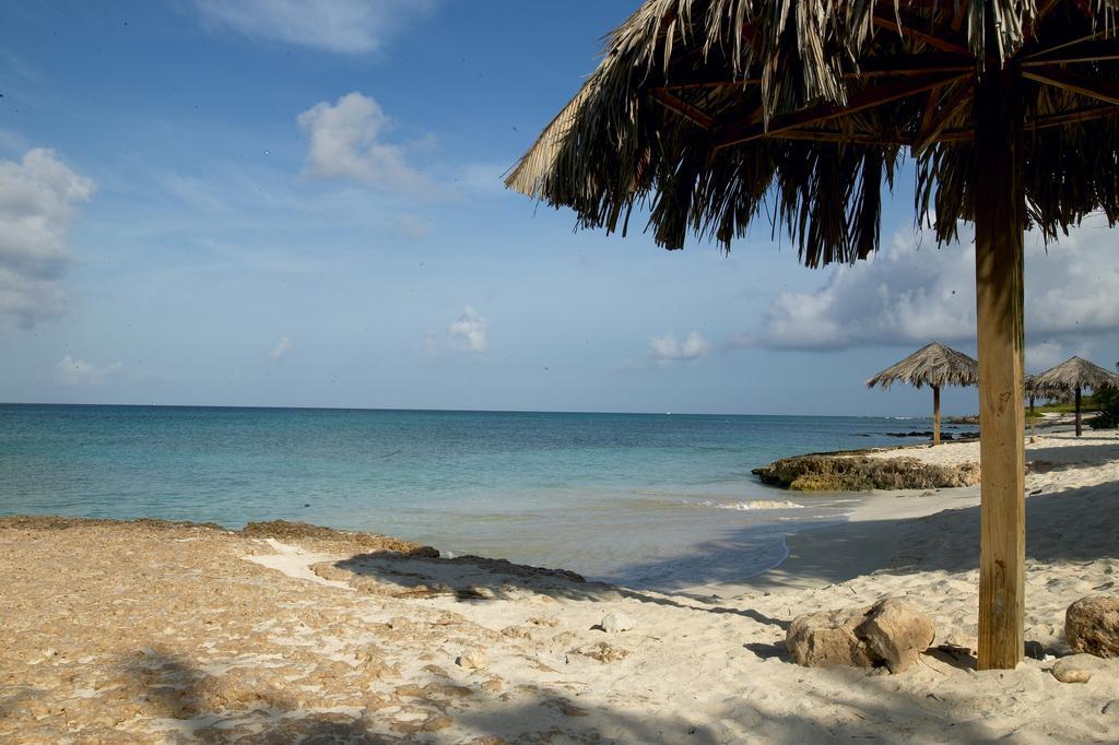 Villa Bougainvillea Aruba, The Tango Suite Palm Beach Buitenkant foto